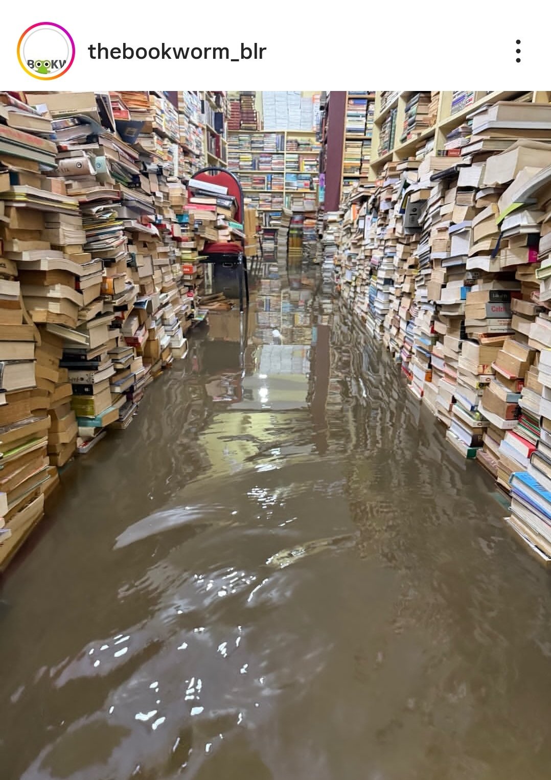 Aisle of Bookworm bookstore submerged under floodwater, books stacked floor to ceiling on either side