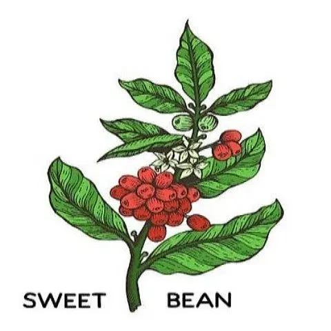 Sweet Bean