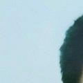 Jivesh Koul
