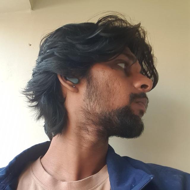 Aniruddha Borkar
