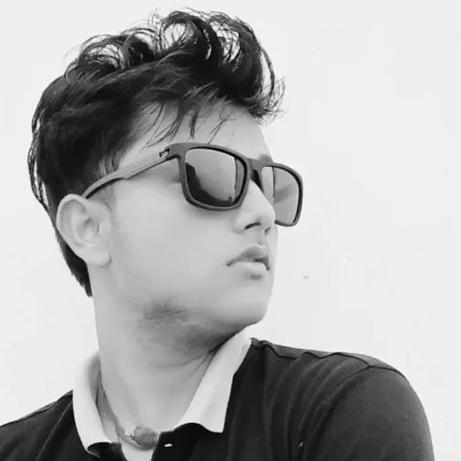 Ansh Raj