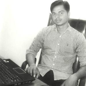 Vidya Shankar Ray - Founder & CEO 