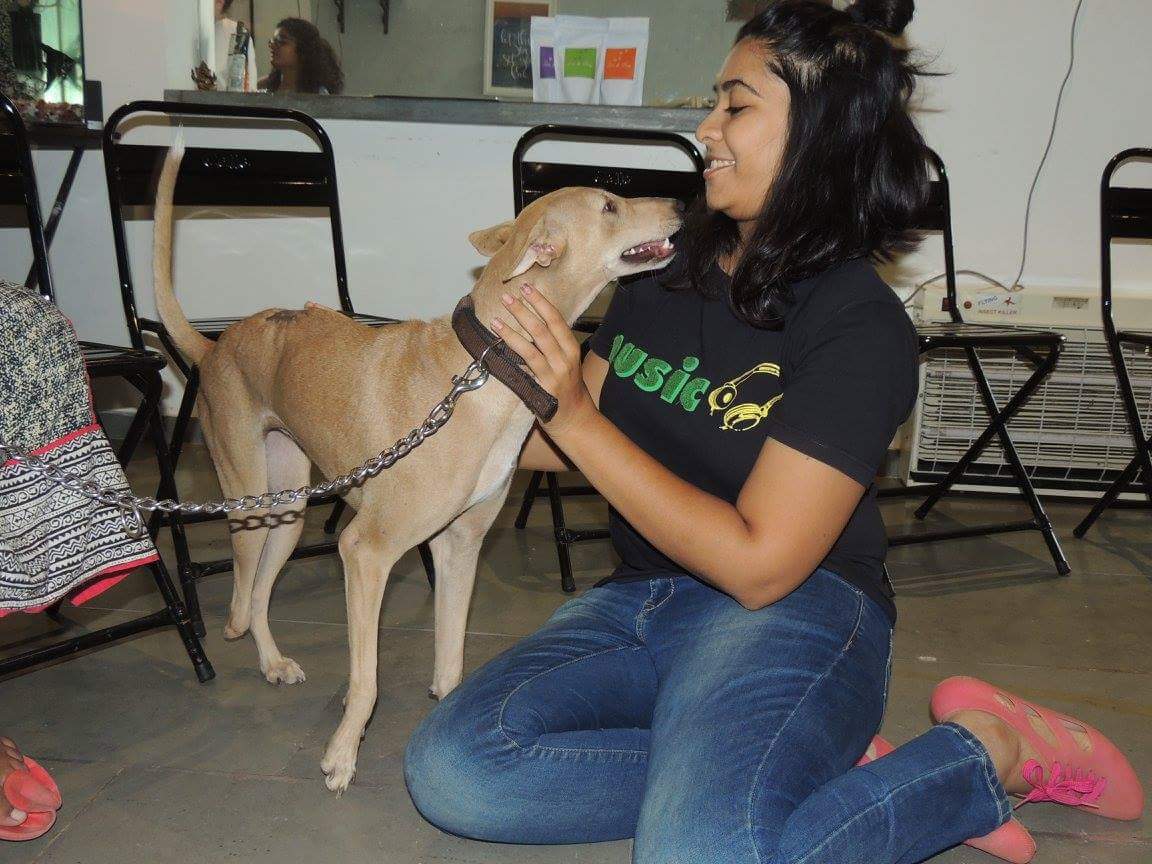 Nidhi Sanghrajka - - Professional Canine trainer and Behaviourist
- Curator at first eco-market of Gujarat Hara Pitara