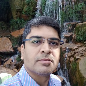 Mayank Patel - Finance Professional