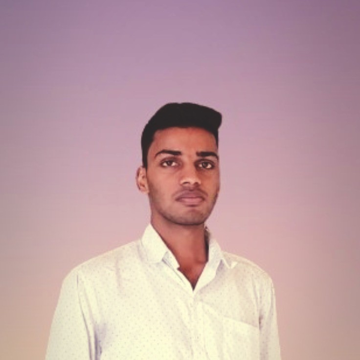 PRAKHAR KUMAR - Developer