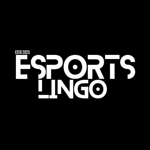 Esports Lingo - We create tournaments for esports players and also  provide them skill training, sponsorship, auctions etc 
We help them to play esports tournaments from regional to international level 