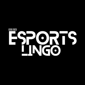 Esports Lingo - We create tournaments for esports players and also  provide them skill training, sponsorship, auctions etc 
We help them to play esports tournaments from regional to international level 