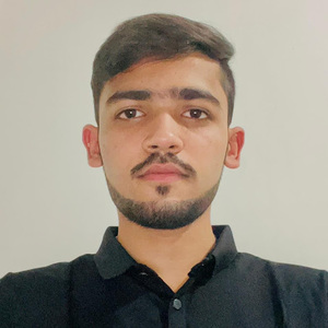 Imdad Ali Batti - Product Owner, Teledyne