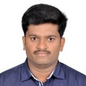 venugopal.s Selvaraj - Senior Test campaign leader