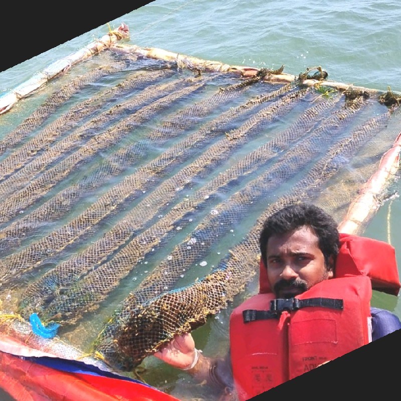 Santhosh Donkina - Co- Founder, Puakaiagriaqua