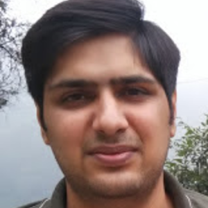 Ankit Nagpal - Developer (Business One)