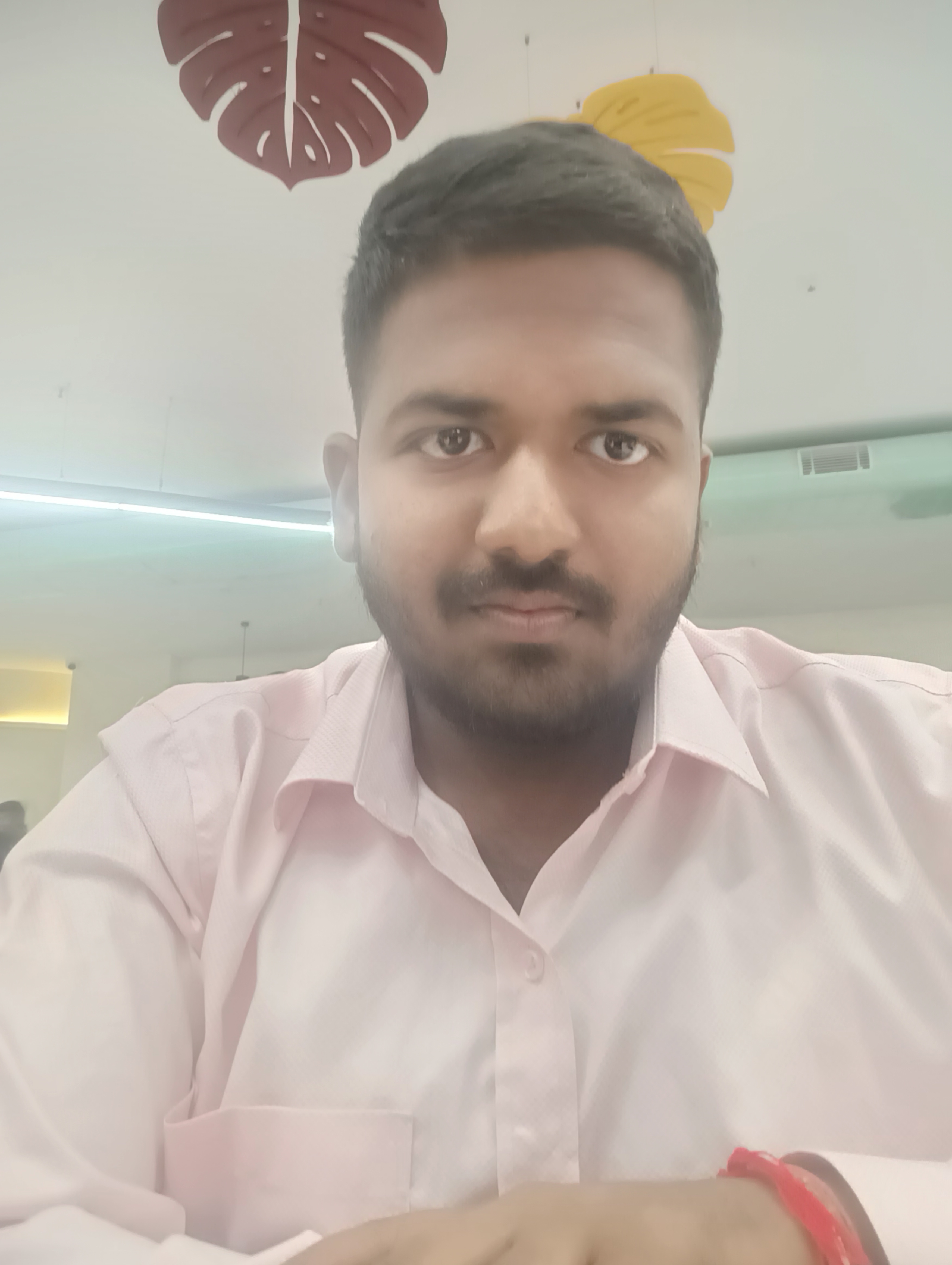 Karthikeyan Padayachi - Salesforce Developer 