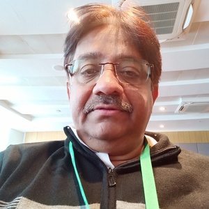 rahul vyas - Strategic advisor, India I Tech P Ltd