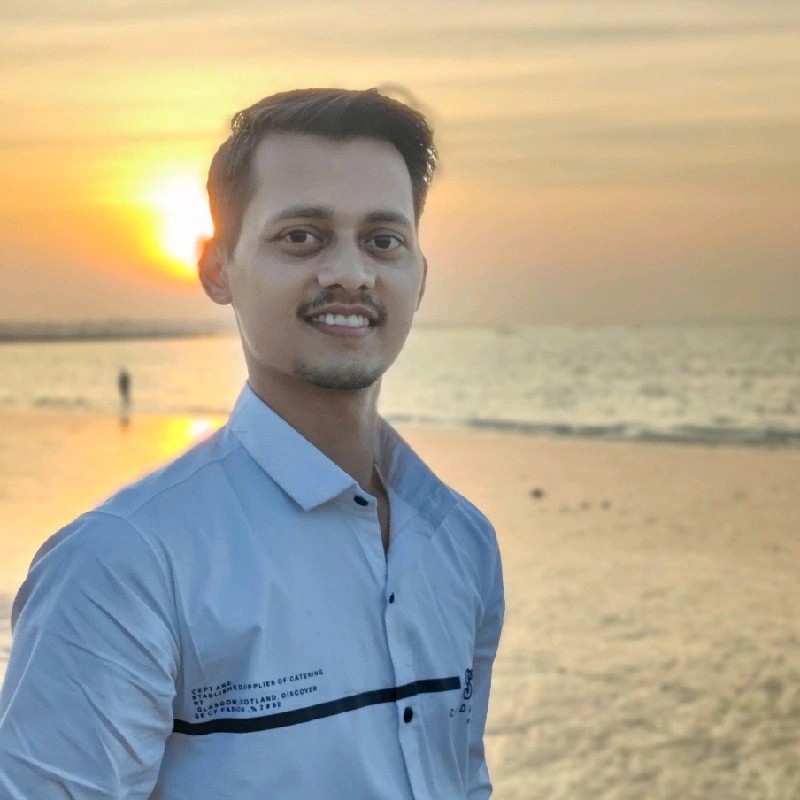 Hardik Dhanani - Business Analyst