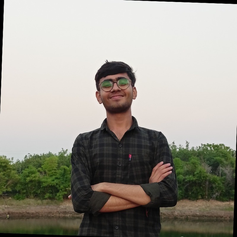 Parthivsinh Vaghela - Business Analyst Intern, STEMpedia