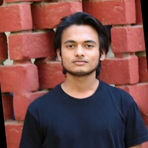 Aryan Thakor - Building feathery.in, Web Developer - pintube.com.