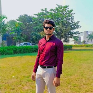 Siddharth Thakur - Junior Software Developer