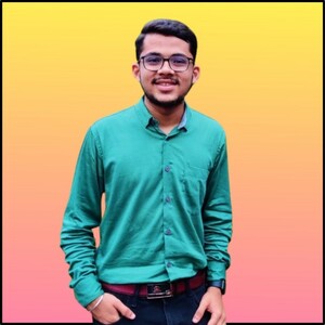 Parshwa Mehta - Software developer 