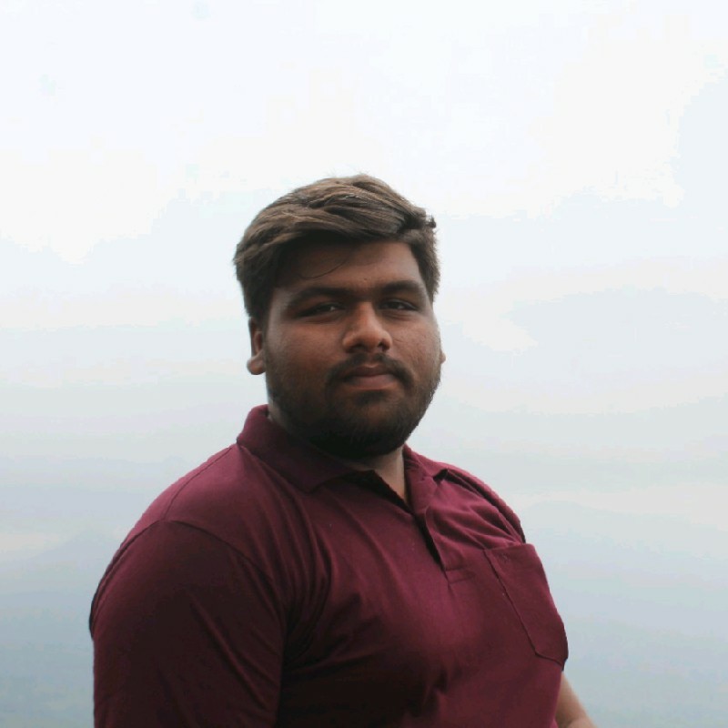 Mitesh Prajapati - owner