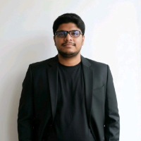 RajKumar U - independent consultant