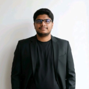 RajKumar U - independent consultant
