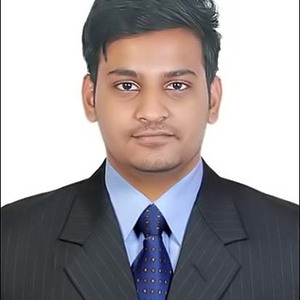 prateek bajaj - Business development executive