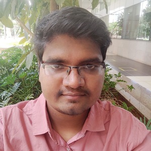 Prathap Reddy - Developer