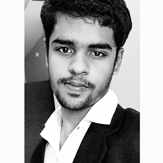 Manish Reddy Bitla - Project Engineer