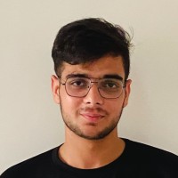 Tushar  - AI dev Founder,DubFlix