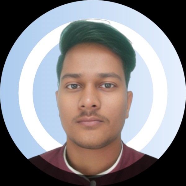 Vipin Mishra - Business Analyst