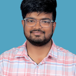 Madhur Kannamwar - Fullstack Devloper, Poditivity