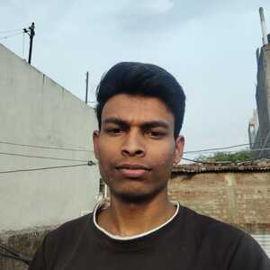 Mayur Adlak - Software Engineer