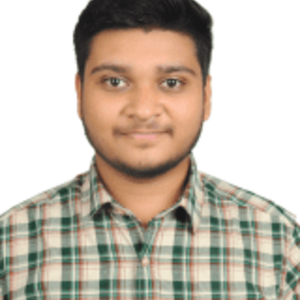 Abhishek Bhatt - Consultant