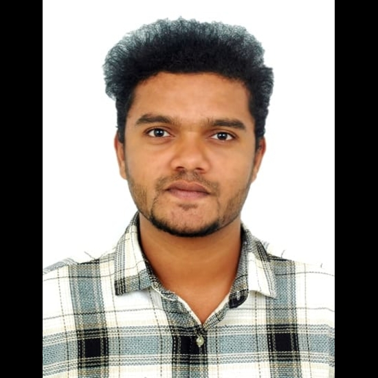 Manikanta N - Co-founder and Director of Megacends Infotech LLP