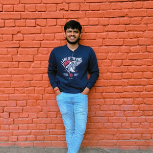 Saurabh Shejole - ERP Functional Consultant 