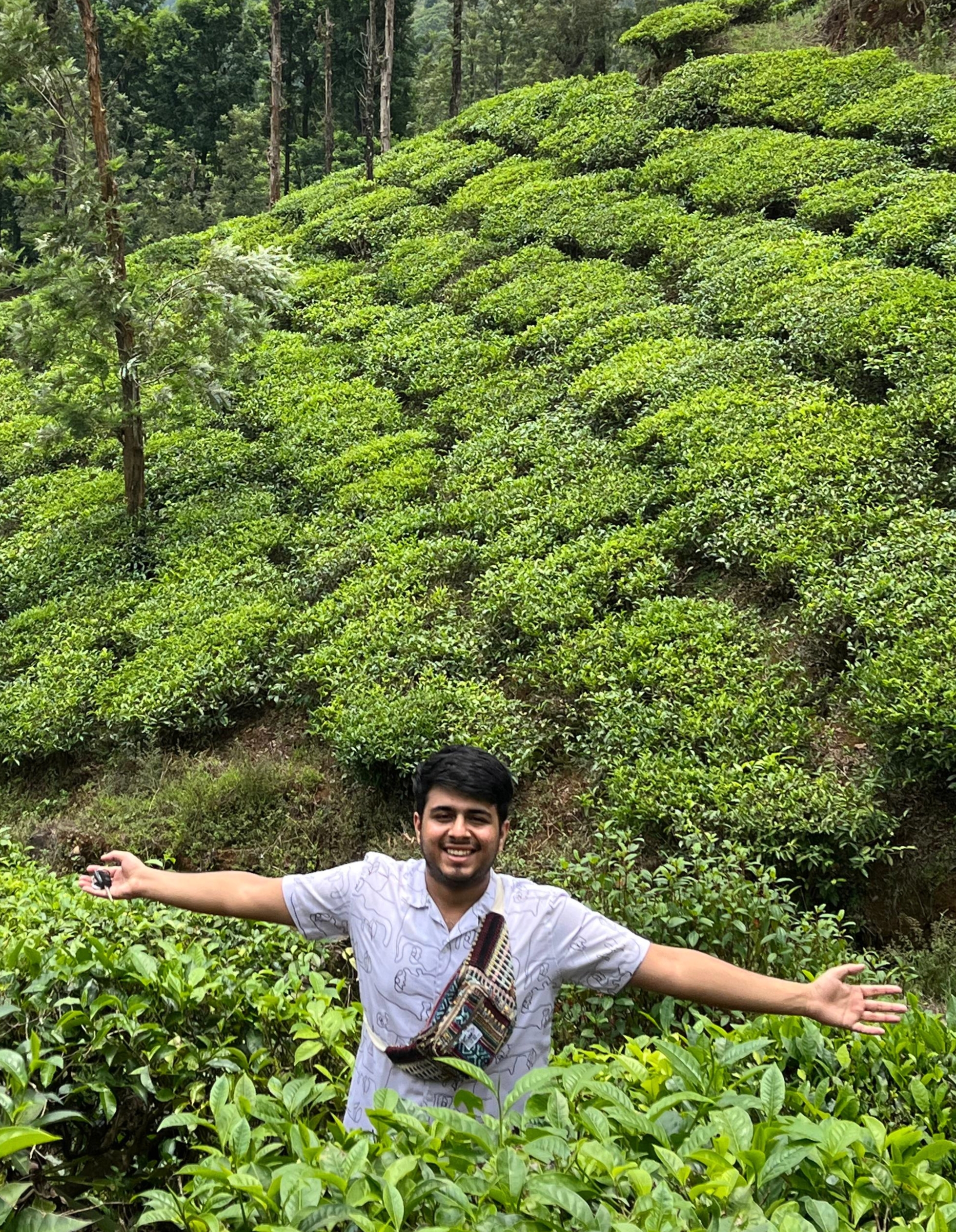 Ritik Taneja - Software Engineer