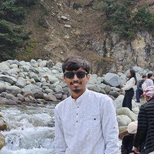 Krish S. Prajapati - UI/UX Designer