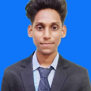 Biswajit  Padhan - Management Trainee - Sales, Savex Technologies 