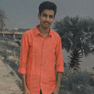 Bhanu Teja Karri - Co-Founder The Brash Jacks Company
