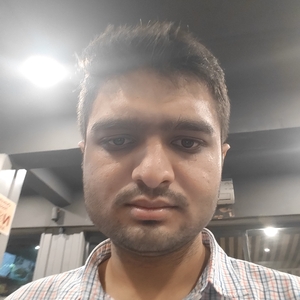 Jal Patel - Civil Engineer