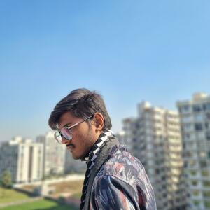 Ronak Talaviya - Web Developer