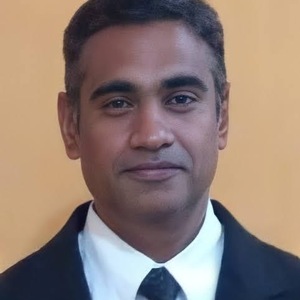 m srinivasan - AD, BDO India LLP