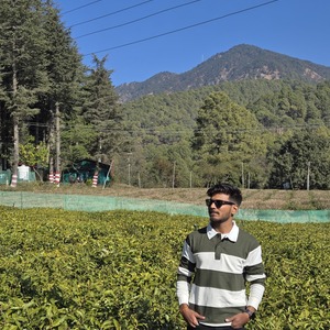 Ajinkya Bengal - Software engineer ,MediaNv