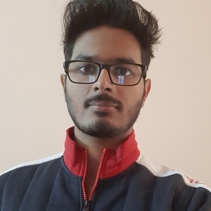 Harshit Jindal - Business Analyst