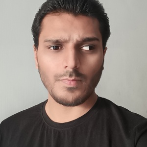 Brijesh Soni - Freelance NLP Expert
