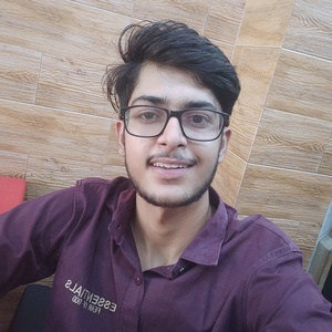 Bhavesh Gehlot - Ai/ml enthusiast 