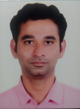 Vijay Reddy - IT Consultant