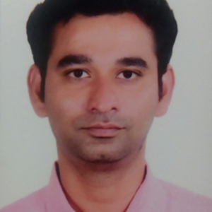 Vijay Reddy - IT Consultant