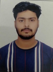 Aditya Sanwariya - Business analyst 