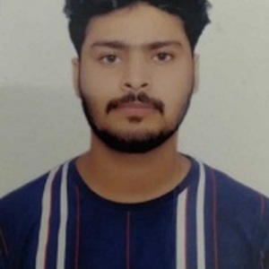 Aditya Sanwariya - Business analyst 